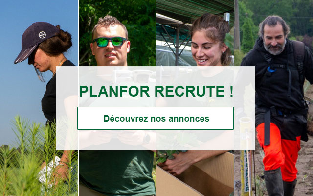 Planfor recrute !