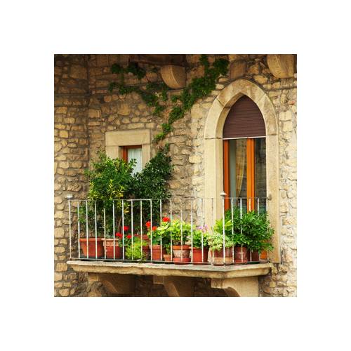 Les plantes de balcon