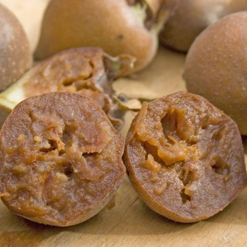 Nflier commun, Nflier d'Allemagne