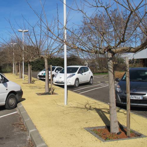 Mrier platane Strile