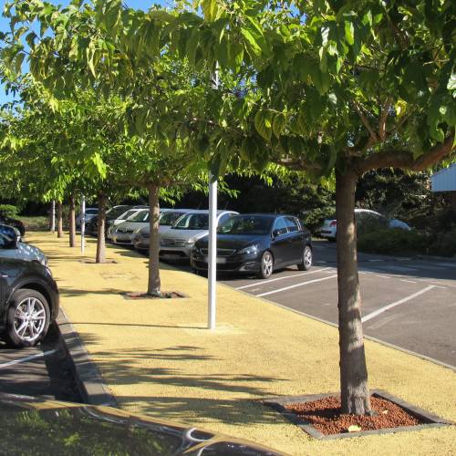 Mrier platane Strile