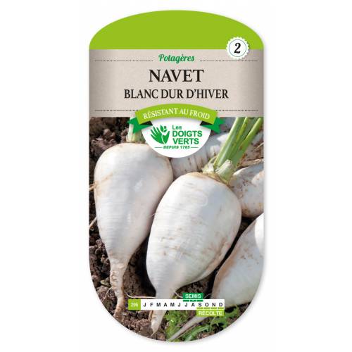 Graines De Navet Blanc Dur D'hiver - Sachet 6 G, Variété Rustique, Légume Racine, Les Graines Bocquet