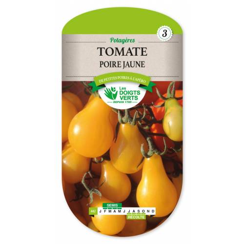 Tomate poire jaune Yellow Pearshapped
