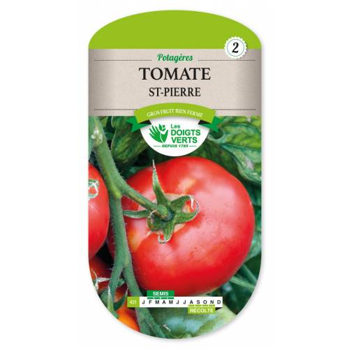 Tomate Saint-Pierre