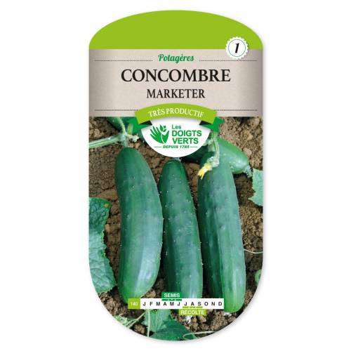 Concombre Marketer