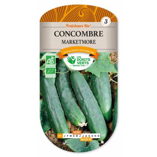Concombre Marketmore