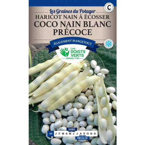 Haricot nain  cosser Coco blanc prcoce