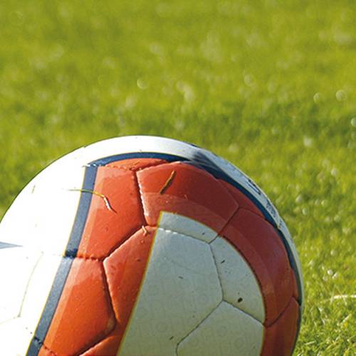 Gazon Sport et Jeux - 10kg - 350m2