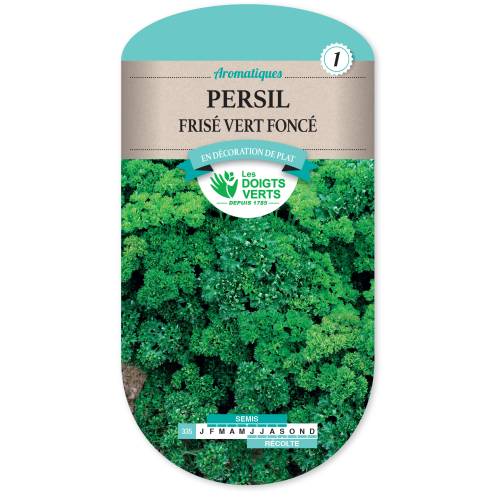 Persil Fris� Vert fonc� (graines)
