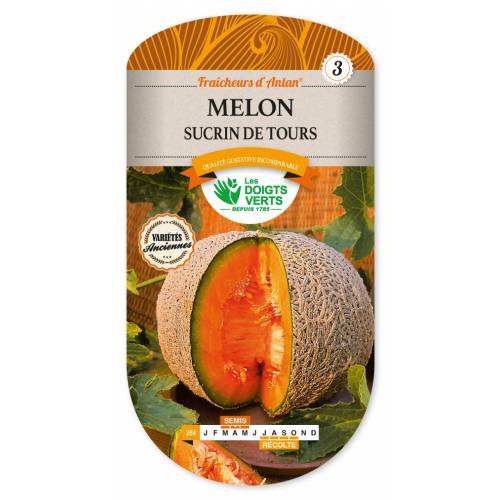 Melon Sucrin de Tours
