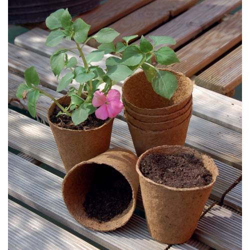Godets biod�gradables ronds 6cm