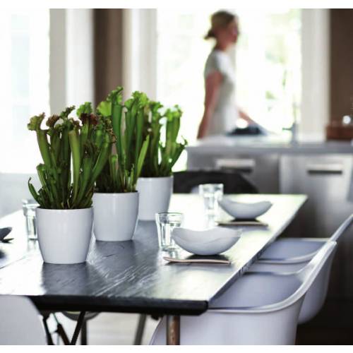 Brussels Diamond Round 14cm Grisr - Elho