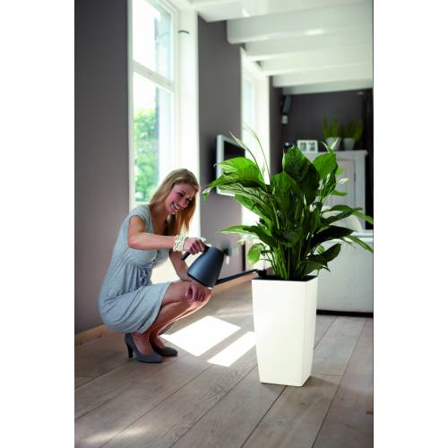 Milano All-in-One - H55cm - Anthracite Mat - Elho