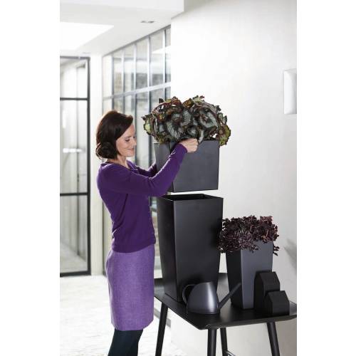 Milano All-in-One - H55cm - Anthracite Mat - Elho