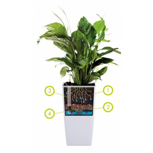 Milano All-in-One - H55cm - Anthracite Mat - Elho