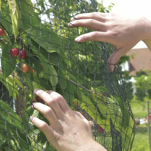 Filet renforcé pour arbres fruitiers - 5x6 m - Vente en ligne au meilleur  prix