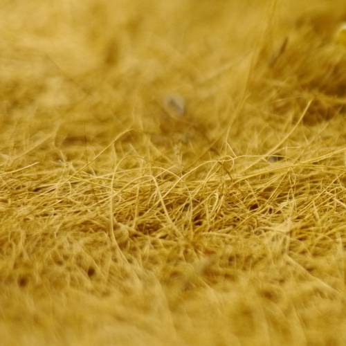 Disque Coco - D.19 cm