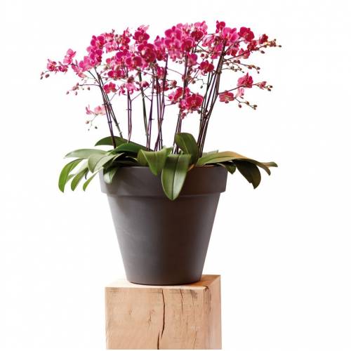 Pure Round  D40 cm H36 cm  Blanc Lin  Elho