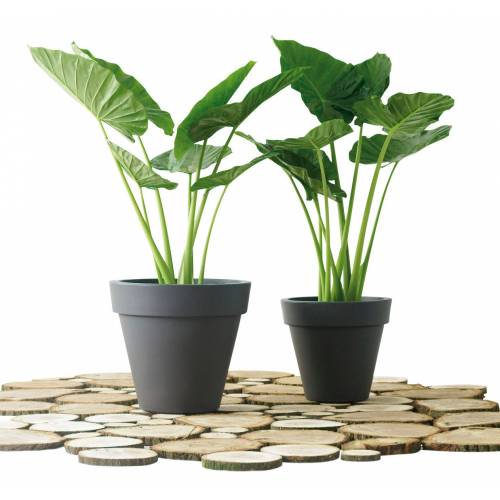 Pure Round  D60 cm H54 cm  Blanc Lin  Elho