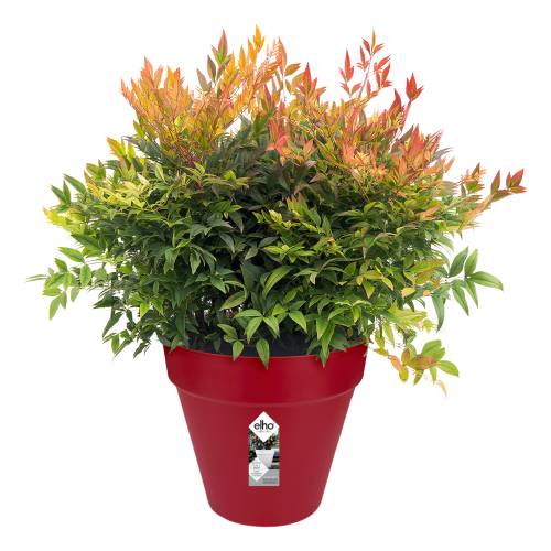 Loft Urban Round  D.40 H.35  Fruits Rouges Elho