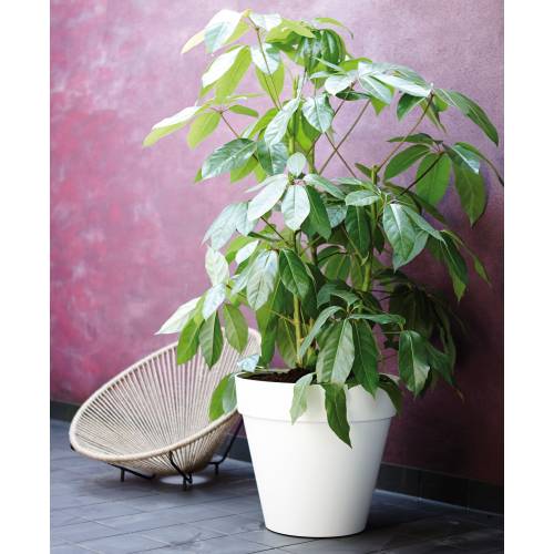 Loft Urban Round  D.30 H.44  Bleu  Elho