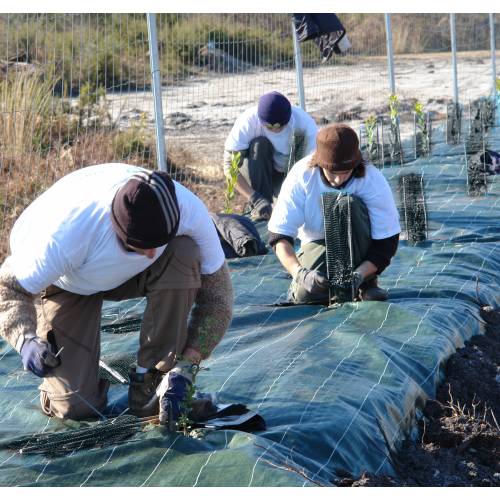 Gaine dissuasion - h040cm pragrafe