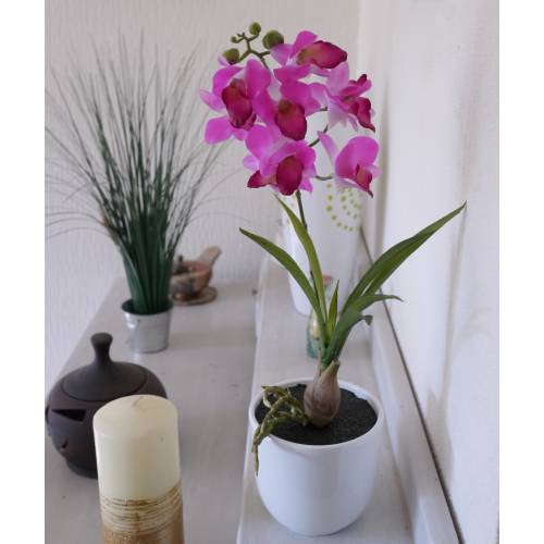 Plante Artificielle - Orchide bambou Violet -MICA
