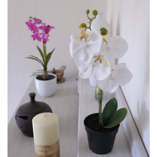 Plante Artificielle - Phalaenopsis Blanc - MICA