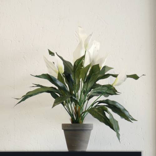 Plante Artificielle - Spathiphyllum Blanc - MICA