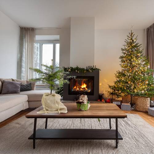 Arbre de No�l - Sapin Nordmann Pot 1L + pochon