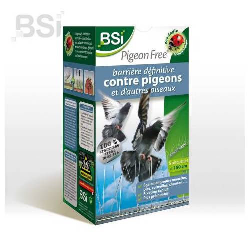 Barrière anti-pigeons inoffensive 3m de long en plastique recyclé, vente au  meilleur prix