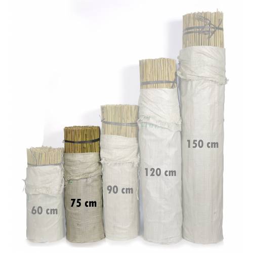 Tuteur Bambou naturel - 075 cm