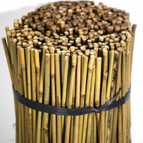 Tuteur Bambou naturel - 120 cm