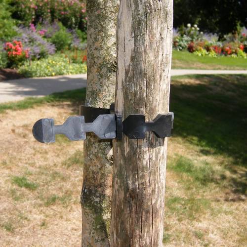 Colliers de tuteurage pour arbres - L45 cm