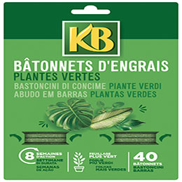 Neudorff Azet - Engrais en Bâtonnets pour Plantes Vertes, 1 sachet -  Bloomling France